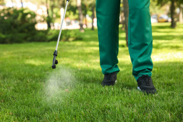 Best Residential Pest Control  in Bettendorf, IA